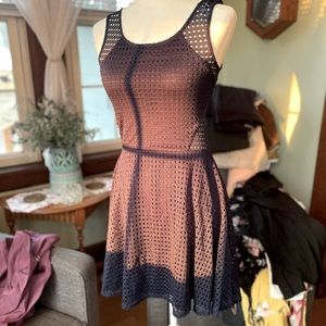 Nordstrom Navy Cutout Lace/Mesh Flounce Dress